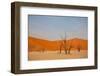 Dead Valley in Namibia-Andrushko Galyna-Framed Photographic Print