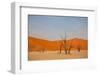 Dead Valley in Namibia-Andrushko Galyna-Framed Photographic Print