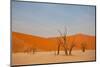 Dead Valley in Namibia-Andrushko Galyna-Mounted Photographic Print