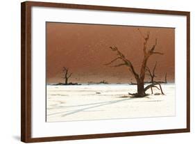 Dead Valley in Namibia-Andrushko Galyna-Framed Photographic Print