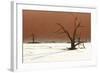 Dead Valley in Namibia-Andrushko Galyna-Framed Photographic Print