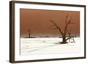 Dead Valley in Namibia-Andrushko Galyna-Framed Photographic Print