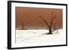 Dead Valley in Namibia-Andrushko Galyna-Framed Photographic Print