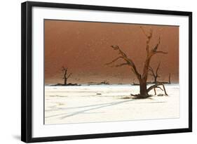 Dead Valley in Namibia-Andrushko Galyna-Framed Photographic Print