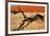 Dead Valley in Namibia-Andrushko Galyna-Framed Photographic Print