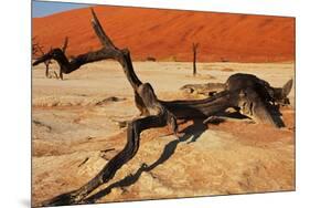 Dead Valley in Namibia-Andrushko Galyna-Mounted Photographic Print