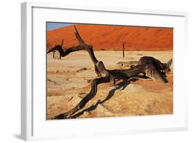 Dead Valley in Namibia-Andrushko Galyna-Framed Photographic Print