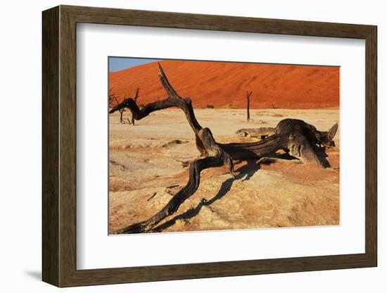 Dead Valley in Namibia-Andrushko Galyna-Framed Photographic Print