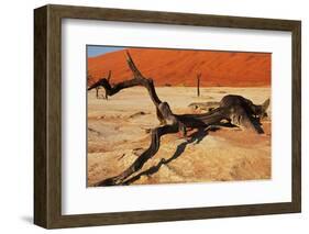 Dead Valley in Namibia-Andrushko Galyna-Framed Photographic Print