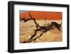 Dead Valley in Namibia-Andrushko Galyna-Framed Photographic Print