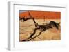 Dead Valley in Namibia-Andrushko Galyna-Framed Photographic Print