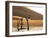 Dead Valley in Namibia-Andrushko Galyna-Framed Photographic Print