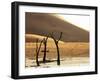 Dead Valley in Namibia-Andrushko Galyna-Framed Photographic Print