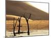 Dead Valley in Namibia-Andrushko Galyna-Mounted Photographic Print