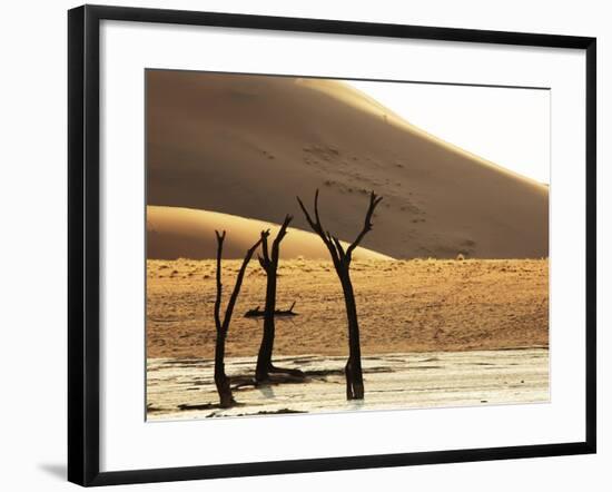 Dead Valley in Namibia-Andrushko Galyna-Framed Photographic Print