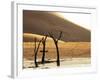 Dead Valley in Namibia-Andrushko Galyna-Framed Photographic Print