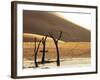 Dead Valley in Namibia-Andrushko Galyna-Framed Photographic Print