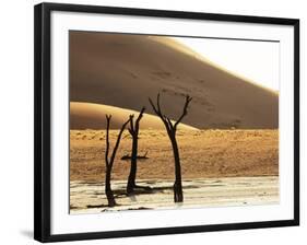 Dead Valley in Namibia-Andrushko Galyna-Framed Photographic Print