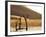 Dead Valley in Namibia-Andrushko Galyna-Framed Photographic Print