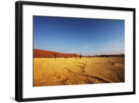 Dead Valley in Namibia-Andrushko Galyna-Framed Photographic Print