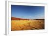 Dead Valley in Namibia-Andrushko Galyna-Framed Photographic Print