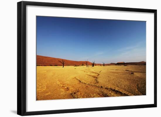 Dead Valley in Namibia-Andrushko Galyna-Framed Photographic Print