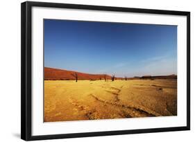 Dead Valley in Namibia-Andrushko Galyna-Framed Photographic Print