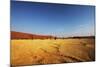 Dead Valley in Namibia-Andrushko Galyna-Mounted Photographic Print