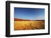 Dead Valley in Namibia-Andrushko Galyna-Framed Photographic Print