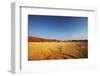 Dead Valley in Namibia-Andrushko Galyna-Framed Photographic Print