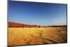 Dead Valley in Namibia-Andrushko Galyna-Mounted Photographic Print