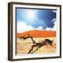 Dead Valley in Namibia-Andrushko Galyna-Framed Photographic Print