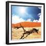 Dead Valley in Namibia-Andrushko Galyna-Framed Photographic Print