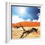 Dead Valley in Namibia-Andrushko Galyna-Framed Photographic Print