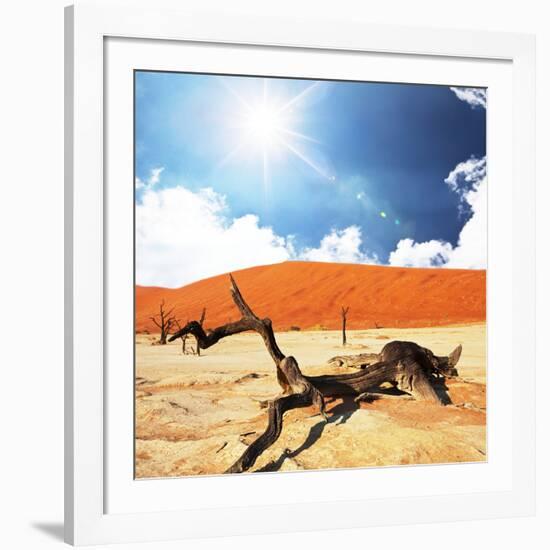 Dead Valley in Namibia-Andrushko Galyna-Framed Photographic Print