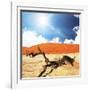 Dead Valley in Namibia-Andrushko Galyna-Framed Photographic Print