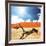 Dead Valley in Namibia-Andrushko Galyna-Framed Photographic Print