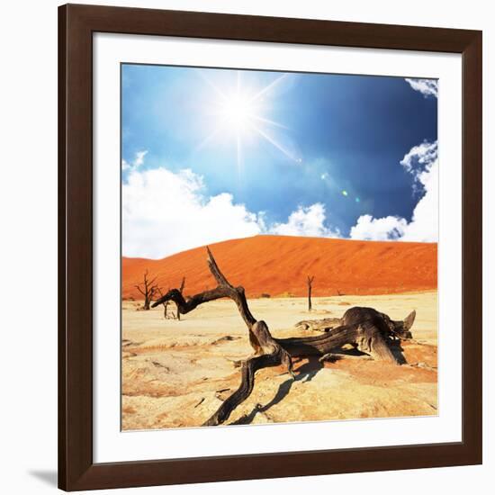 Dead Valley in Namibia-Andrushko Galyna-Framed Photographic Print