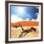 Dead Valley in Namibia-Andrushko Galyna-Framed Photographic Print