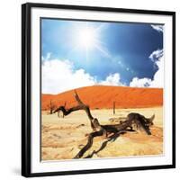 Dead Valley in Namibia-Andrushko Galyna-Framed Photographic Print