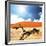 Dead Valley in Namibia-Andrushko Galyna-Framed Photographic Print