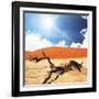 Dead Valley in Namibia-Andrushko Galyna-Framed Photographic Print