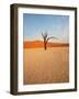 Dead Valley in Namibia-Andrushko Galyna-Framed Photographic Print