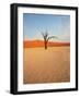 Dead Valley in Namibia-Andrushko Galyna-Framed Photographic Print