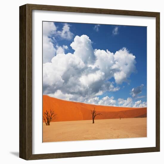 Dead Valley in Namibia-Andrushko Galyna-Framed Photographic Print