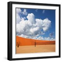 Dead Valley in Namibia-Andrushko Galyna-Framed Photographic Print