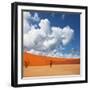 Dead Valley in Namibia-Andrushko Galyna-Framed Photographic Print