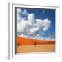 Dead Valley in Namibia-Andrushko Galyna-Framed Photographic Print