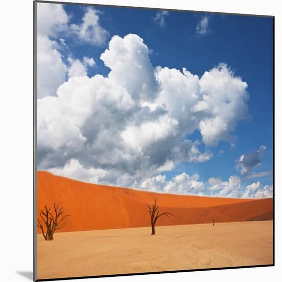 Dead Valley in Namibia-Andrushko Galyna-Mounted Photographic Print