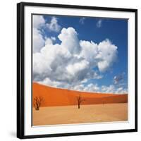 Dead Valley in Namibia-Andrushko Galyna-Framed Photographic Print